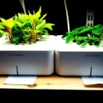 Ecoinvenzioni: il vaso intelligente che annaffia da solo le piante
