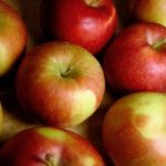A causa dei cambiamenti climatici cambia il sapore delle mele