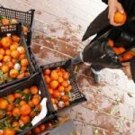 Roma contro lo spreco di cibo. Oggi la firma della Carta Spreco Zero