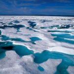 Artico: la ricerca si mobilita per salvarlo