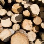 Risparmio energetico: l’Alto Adige si affida alla biomassa