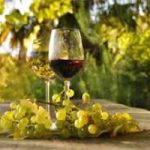 Biowine, il vino bio protagonista