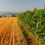 L’Europa vara riforma per agricoltura green e meno burocratica