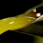 Olio d’oliva, l’Ue impone etichette piu’ trasparenti