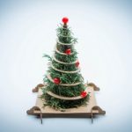 TreeBox per Natale, per contribuire alla riforestazione