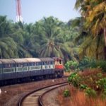 India: stop ai treni veloci per proteggere elefanti