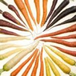 Un arcobaleno di carote per il nostro benessere