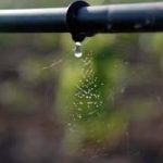 Contro lo spreco di acqua, sistemi di irrigazione innovativa