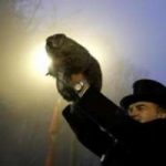 Ieri il giorno della Marmotta: l’inverno sara’ ancora lungo