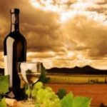 ‘Non uso pesticidi per produrre vino’. E un uomo rischia la prigione in Francia