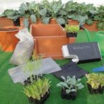 Ecoinvenzioni: l'orto da balcone per coltivare le piante a casa