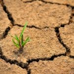 Contro la desertificazione, un sistema per ricaricare le falde acquifere