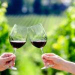 Viva: l’etichetta del vino sostenibile