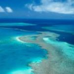 Le barriere coralline? Indispensabili per la difesa delle coste