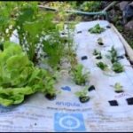Ecoinvenzioni: il tappeto che aiuta a coltivare l'orto in casa