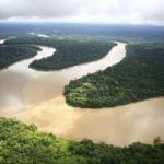 Le coltivazioni di soia minacciano l'Amazzonia