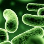 Origine dell’infezione: un super-test rapido che scova 800 batteri
