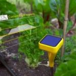Ecoinvenzioni: la sonda solare che aiuta a coltivare l'orto