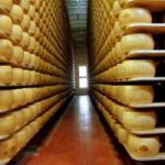 Formaggio tossico: sequestrate 2.402 forme di Parmigiano Reggiano