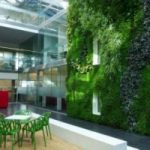 Casa: la parete vegetale che diminuisce l'inquinamento indoor