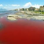 Castellammare: il mare si colora di rosso