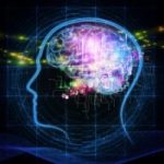Scienze: quanta memoria servirebbe ad un computer per simulare il nostro cervello?