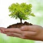 Impegno ambientale: e tu sei virtuoso?