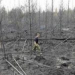 Incendio in Svezia, in fumo 15mila ettari di foresta