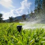 L'irrigatore intelligente per risparmiare acqua in giardino