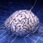 Scienze: il super processore che imita il cervello umano