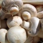 Come pulire i funghi champignon?