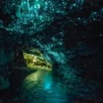 In viaggio sotto le stelle con le lucciole di Waitomo Caves