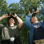 Le 7 regole d'oro per divertirsi con il birdwatching