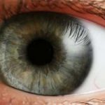 Cellule staminali efficaci contro le malattie della vista