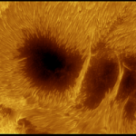 Spettacolo solare: un gigantesco grappolo di macchie visibili ad occhio nudo