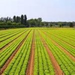 L'agricoltura intensiva altera gli equilibri terrestri