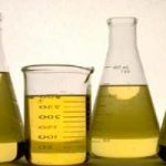 Biodiesel e bioplastiche: il futuro della chimica verde