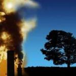 Una spugna contro emissioni e cambiamenti climatici