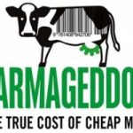 Il vero costo della carne che compriamo