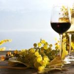 Vinitaly, l'anno del bio: 220 cantine proporranno vino biologico