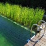 Ecoinvenzione: la piscina senza cloro