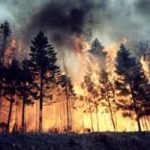 Blue Economy: ecco come evitare gli incendi?