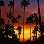 California: siccità record