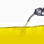 Parlamento Ue: meno shopper e meno biocarburanti