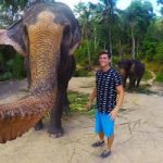 Selfie con l'elefante! Scopriamo la storia incredibile di questa foto