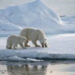 Salvare l’Artico e il pianeta Terra con la geoingegneria