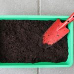 Orto a casa: che verdure piantare, che vasi utilizzare? Ecco alcune idee