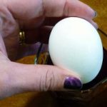 Cosa succede a un uovo sodo immerso nella cola?