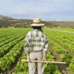 Nuovi fondi economici per giovani agricoltori