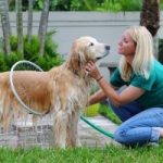 Lavare il cane senza stress con la pompa a forma di hula hop